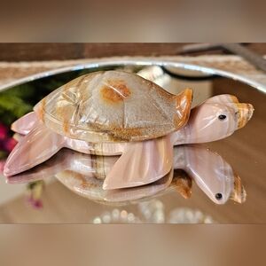 Adorable Onyx Turtle!
